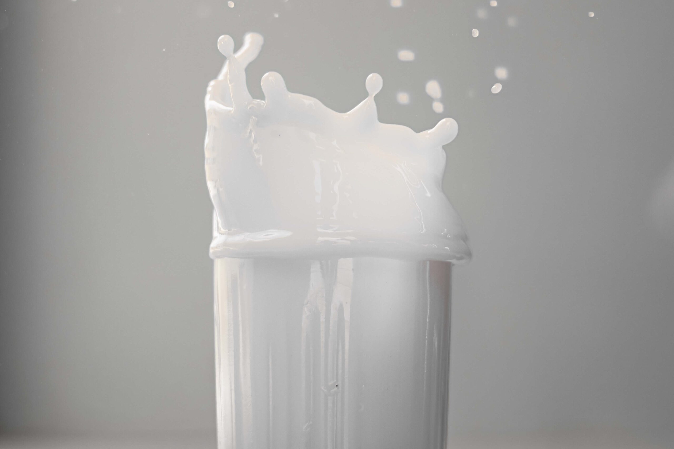 Think wisely in full-fat or skim milk Digestion process