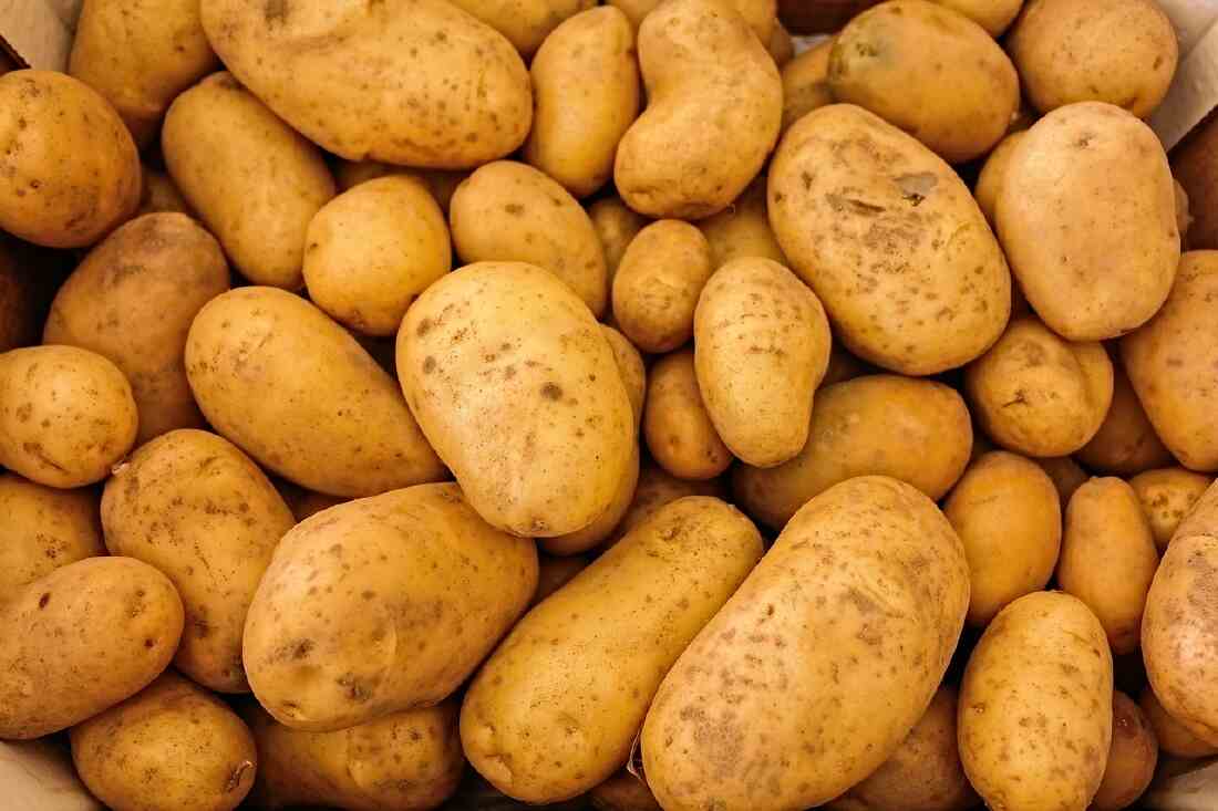 potato is a vegetable