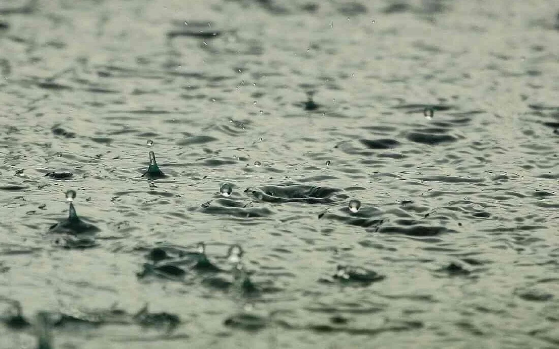 is rainwater good for your hair