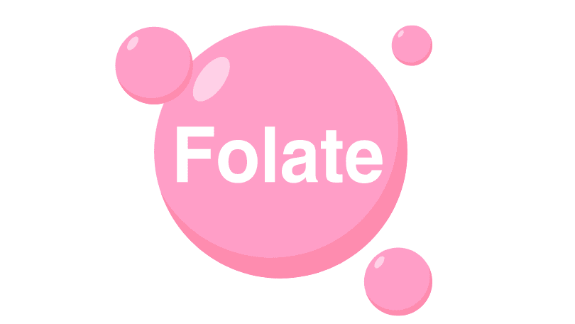 Natural Source of Folate 
