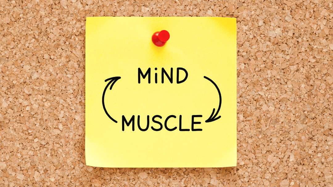 the Mind-Muscle Connection