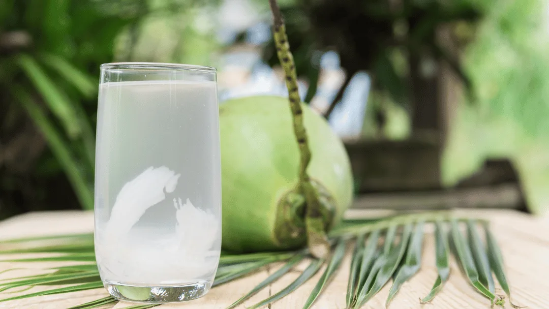 coconut water