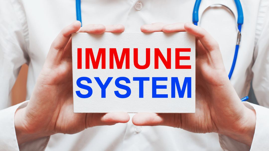 Boosts Immune System