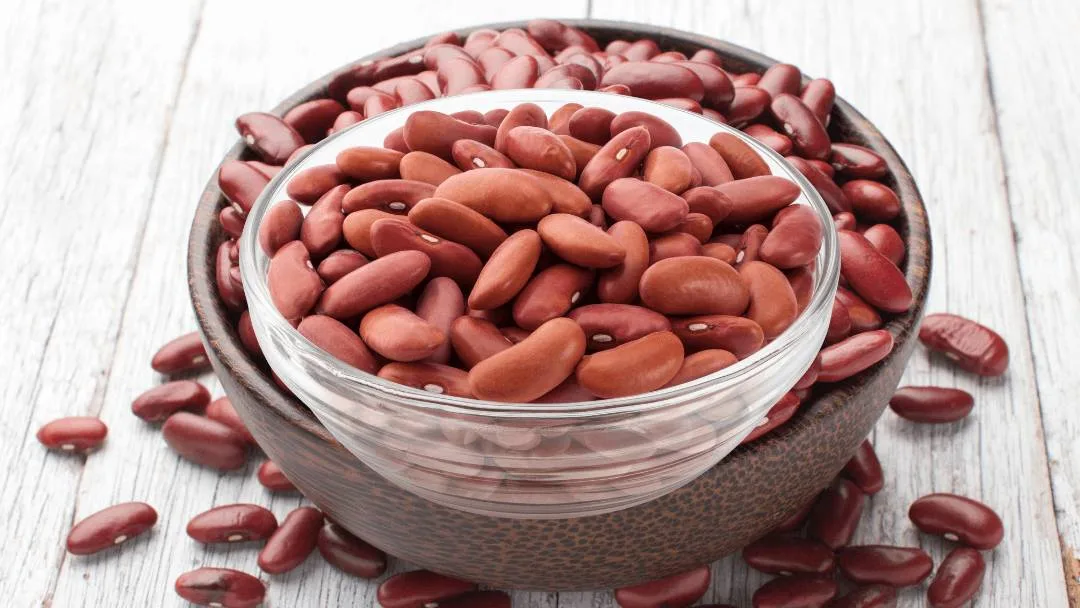Bean Bonanza Bean Bonanza