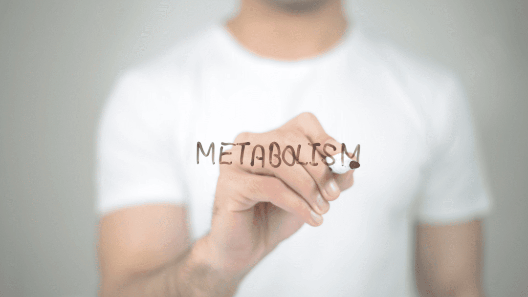 The Marvelous Metabolism