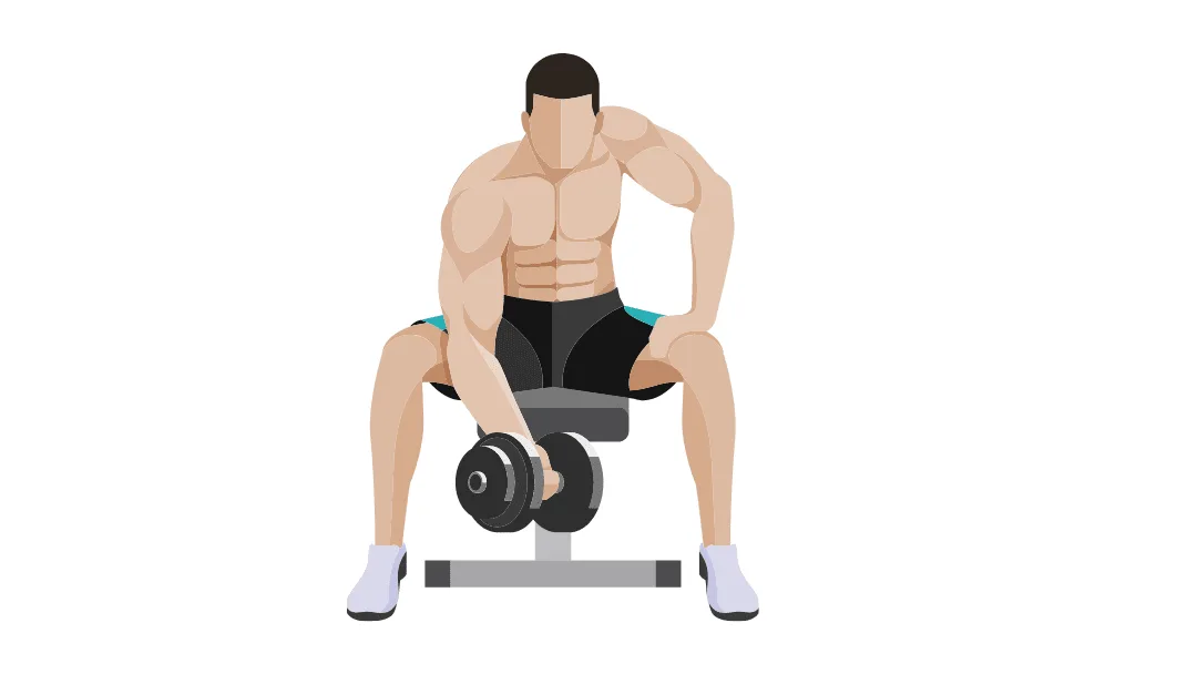 Muscle Weight
