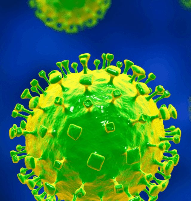 Nipah Virus Secrets Exposed! You Won’t Believe What We Found!