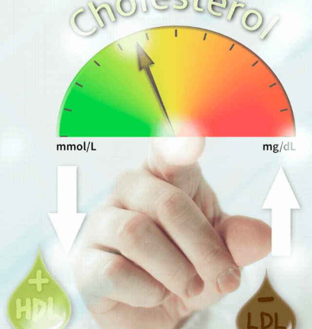 Shocking Revelation: Exercise Crushes Cholesterol! 😱🔥