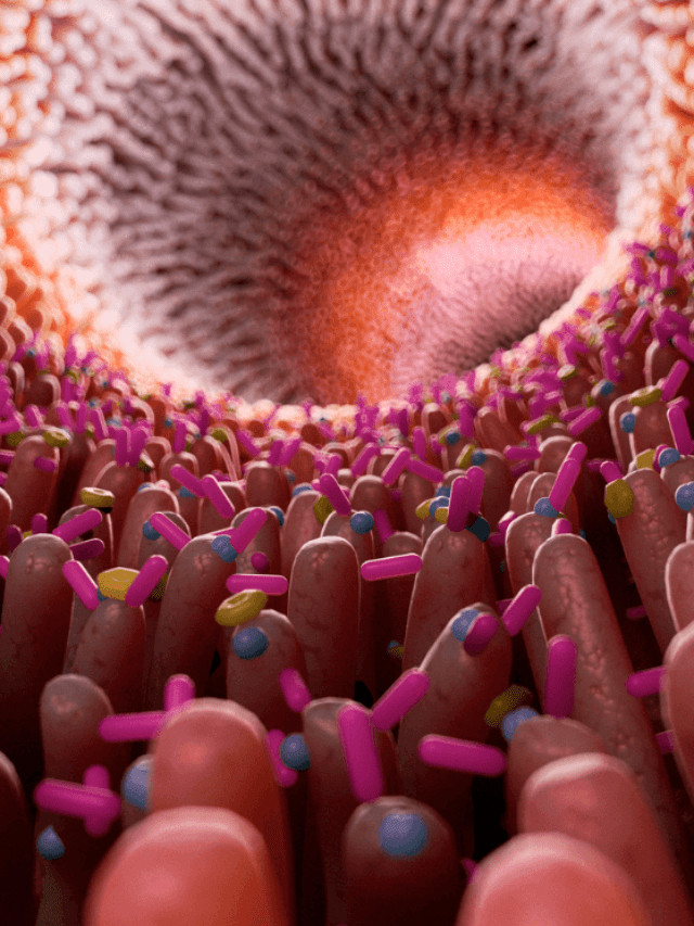 Poop Transplant: 10 Key Facts About Fecal Microbiota Transplantation!