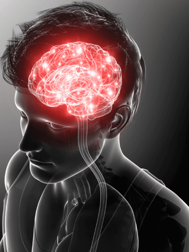 Interesting Facts about the Human Brain!