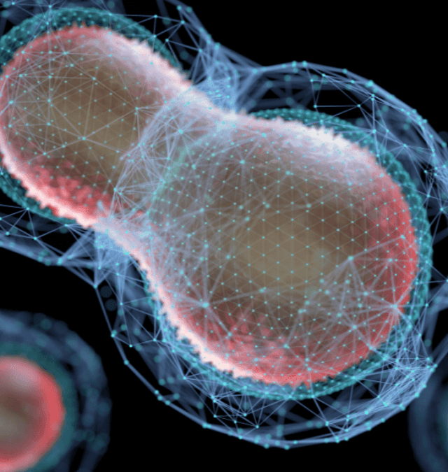 Unlocking the Mysteries of Meiosis: A Beginner’s Guide!