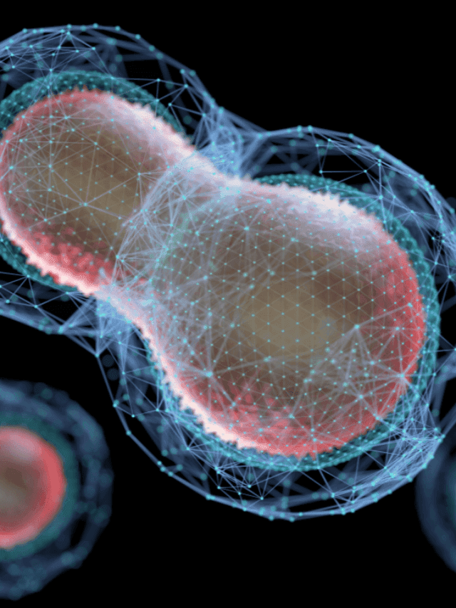 Unlocking the Mysteries of Meiosis: A Beginner’s Guide!